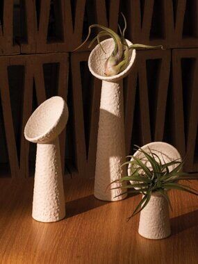 Iggy Tillandsia Air Plant Holders Set of 3 Ceramic Pedestal Planters Sculpture